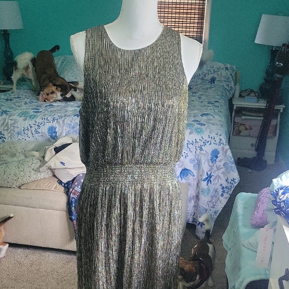 Banana Republic Metallic Maxi Dress SZ 12